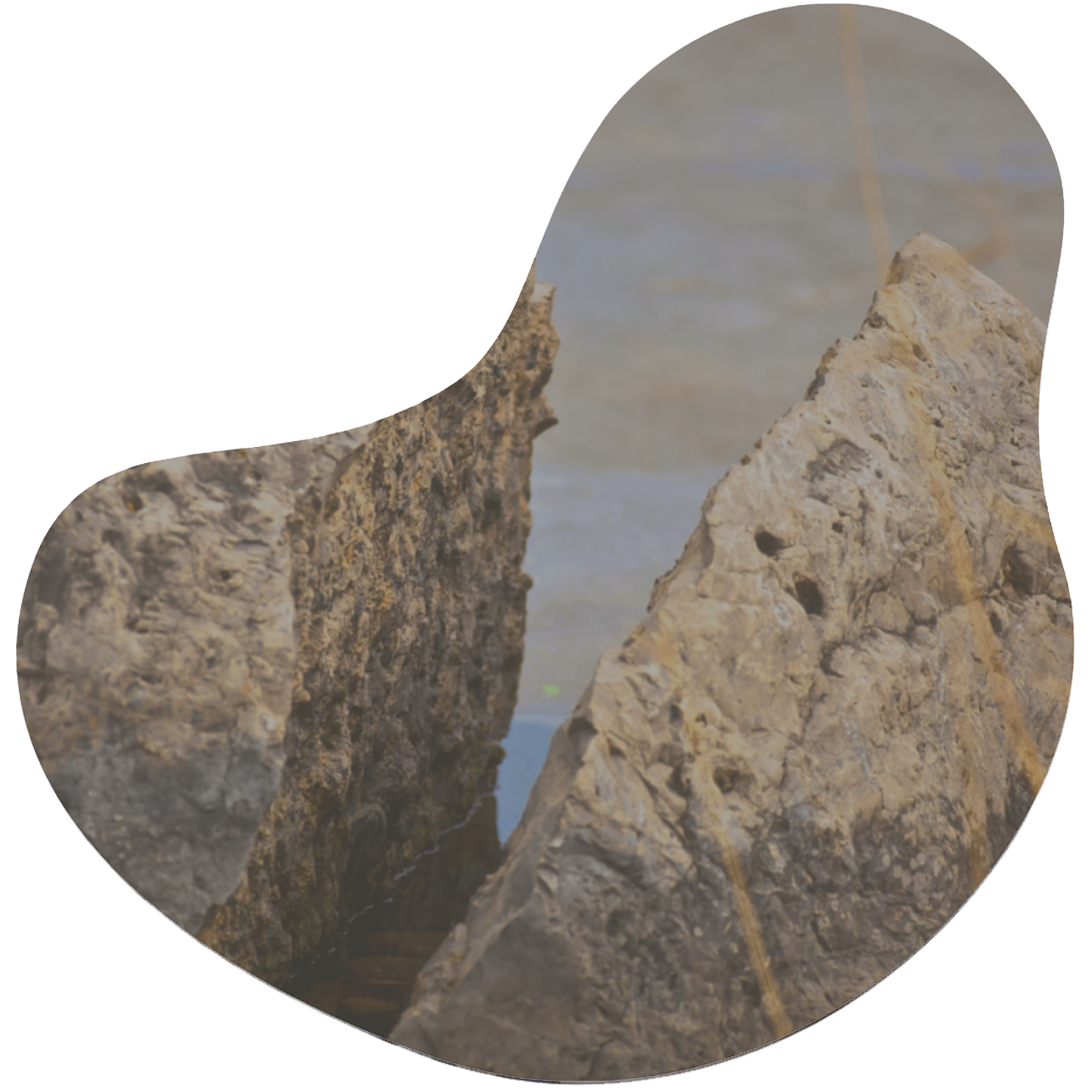 Betrayal trauma recovery program phases for nervous system regulation