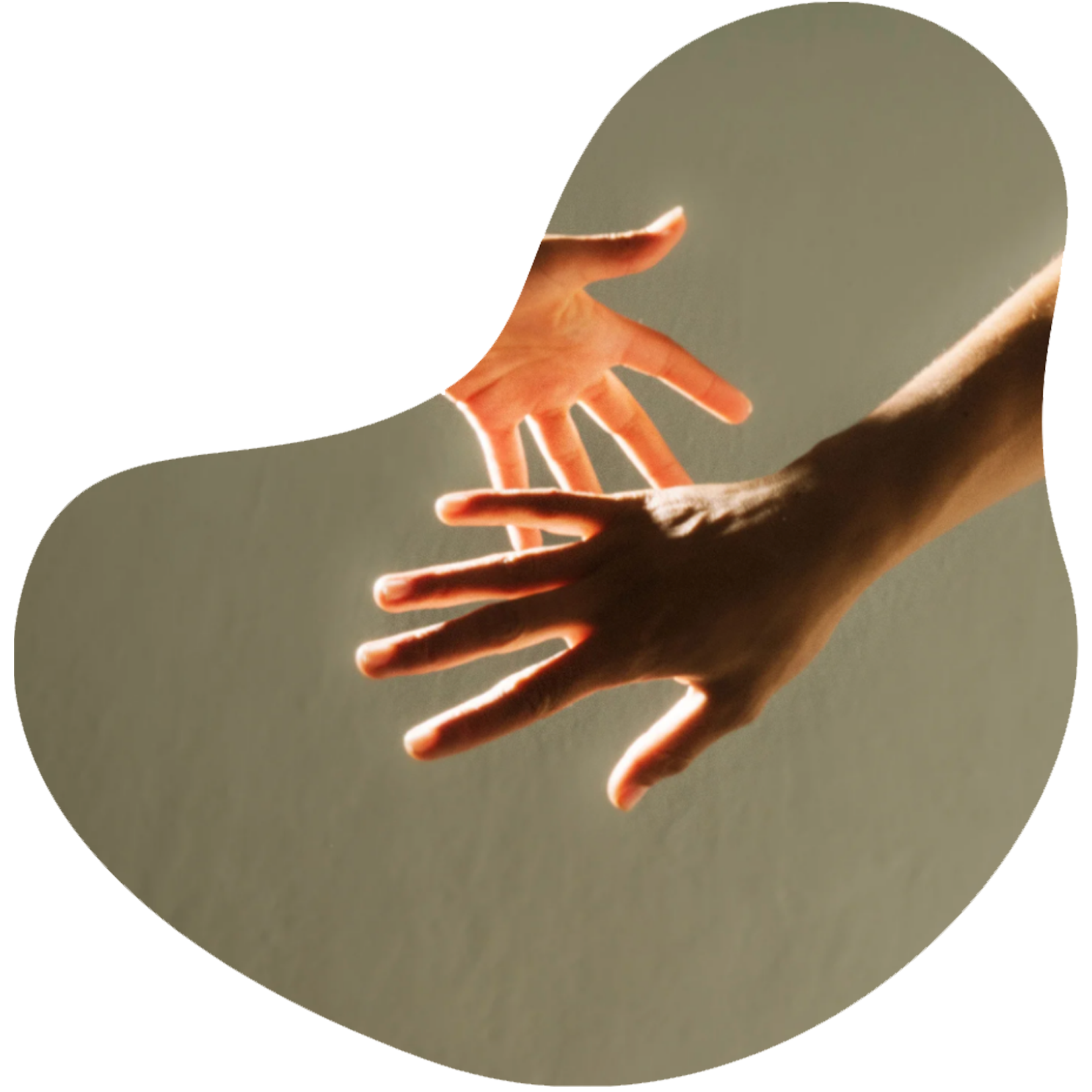 Betrayal trauma recovery program phases for nervous system regulation