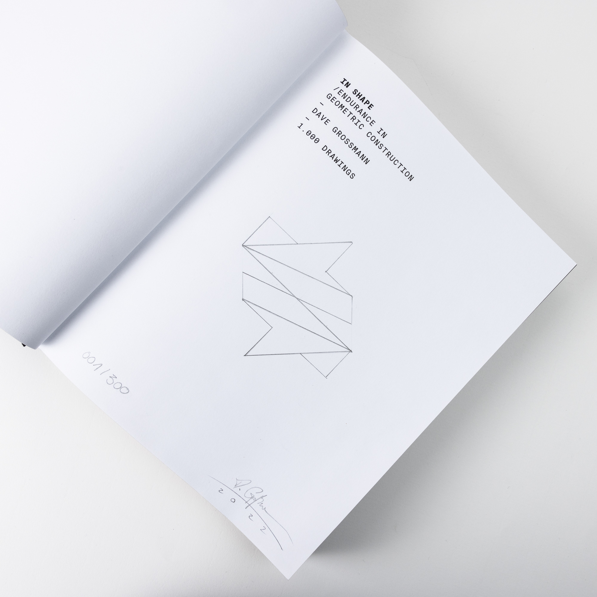 Open book showing a geometric line drawing with text 'IN SHAPE ENDURANCE IN GEOMETRIC CONSTRUCTION - DAVE GROSSMANN - 1,000 DRAWINGS' and a signature at the bottom.