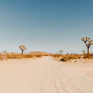 Desert landscape with sandy road, sparse vegetation, and clear blue sky.