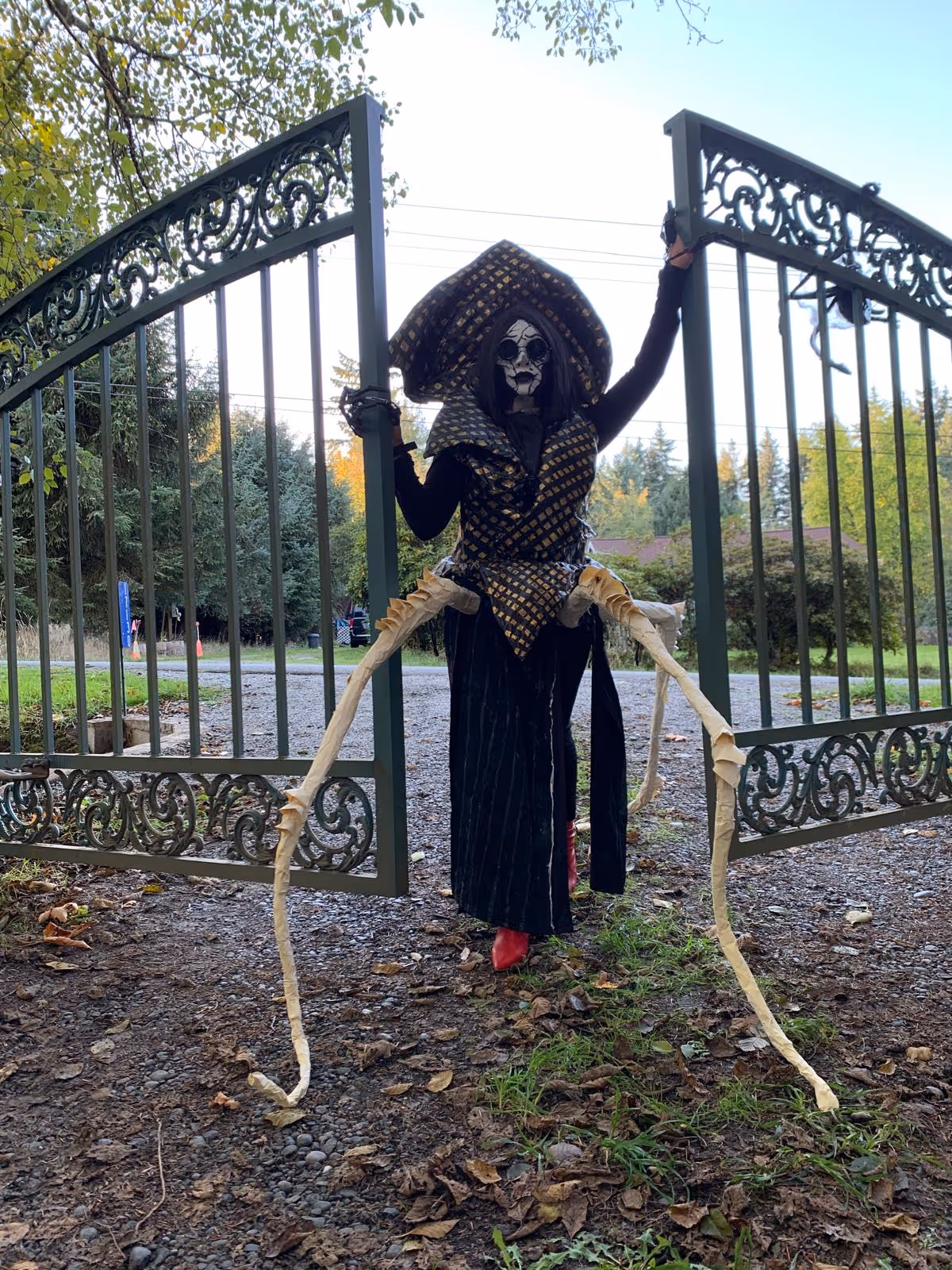 Person in an elaborate costume with a patterned hood, skeletal face paint, long skeletal arm extensions, and red shoes, standing in an open wrought iron gate outdoors.