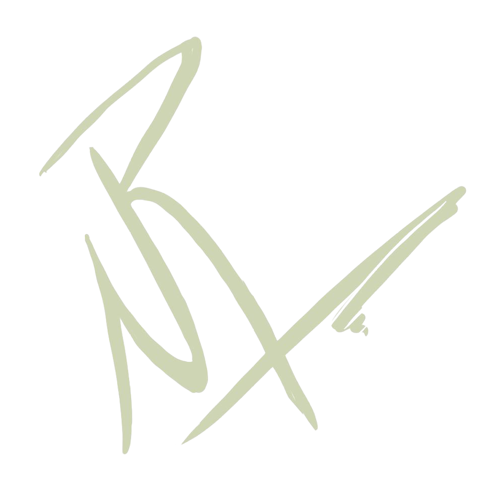 Abstract pale green brushstroke resembling the letters B and X on a white background.