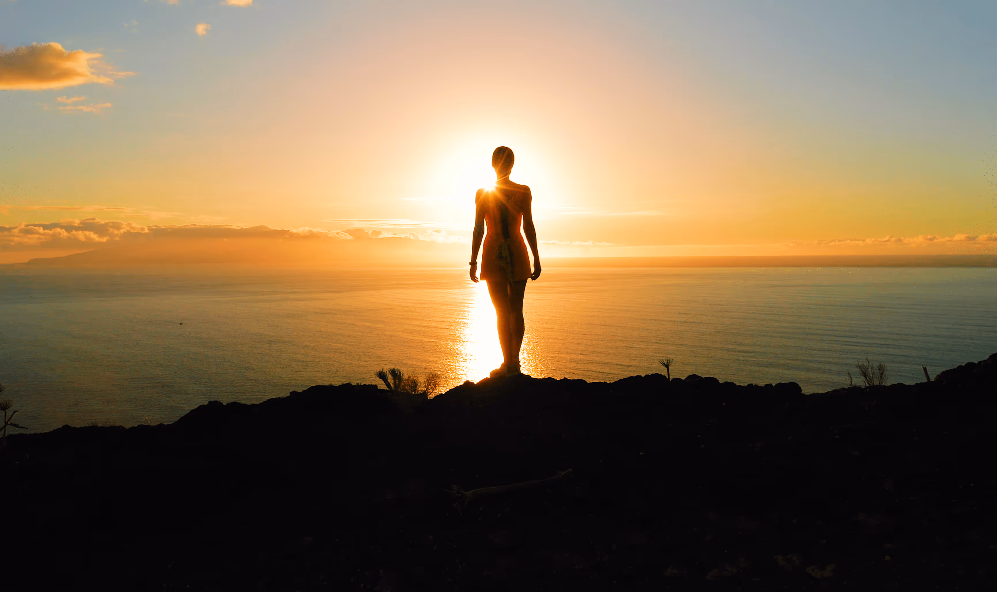 Human symbiosis of health