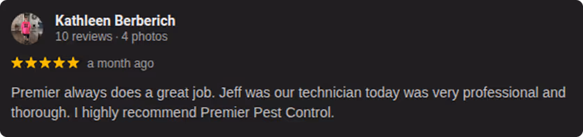 past customer review