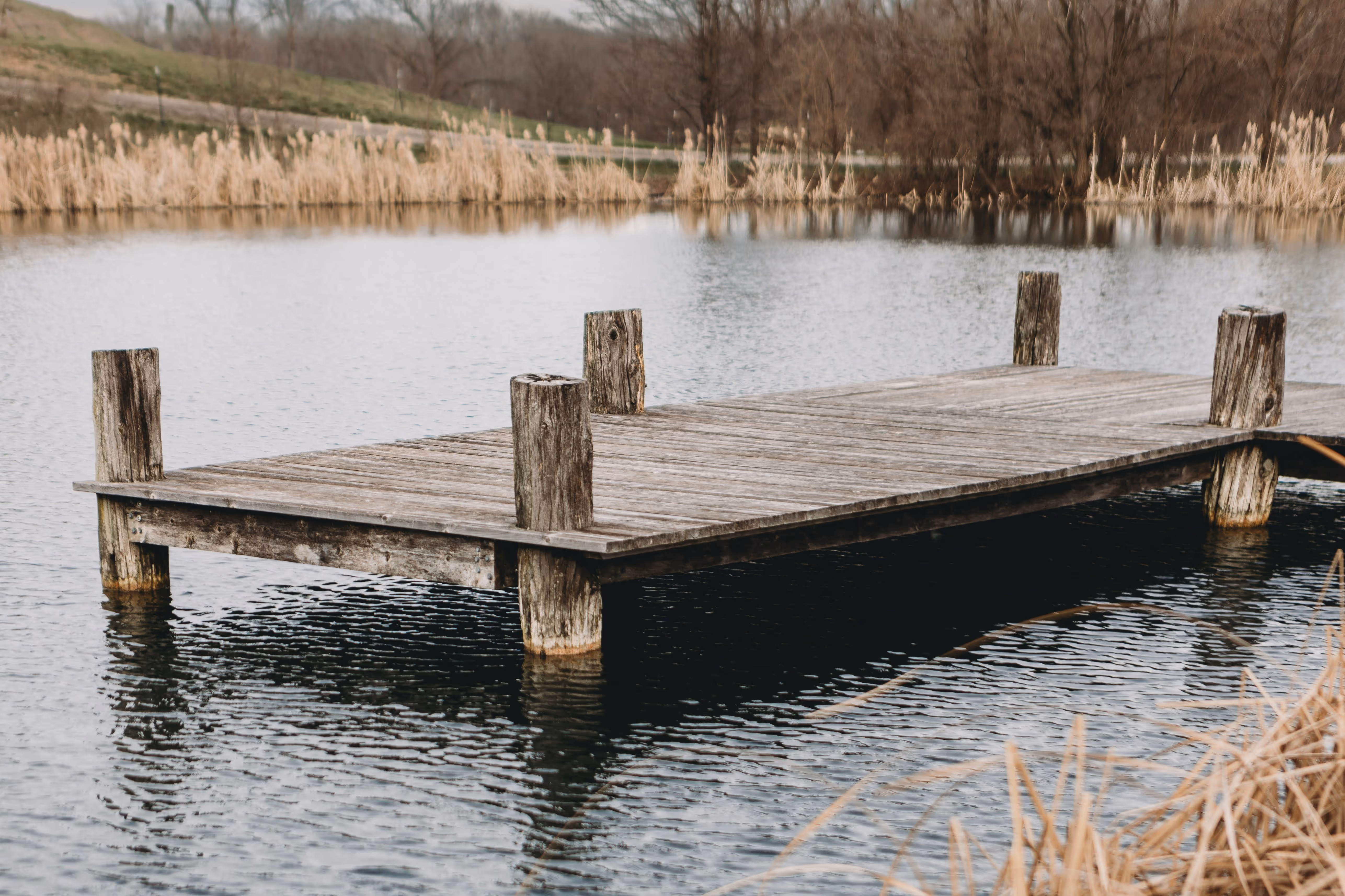 dock on a lake