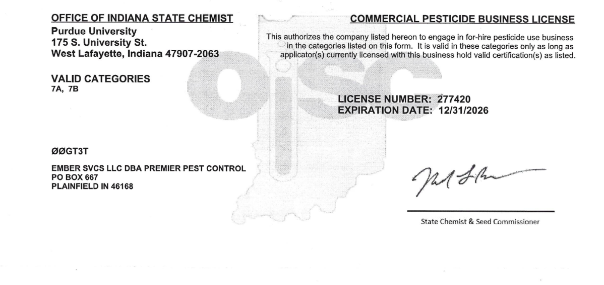 Team License