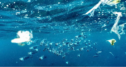 Better Flags | CiClO Flags | Underwater view of a school of fish swimming among floating plastic debris.