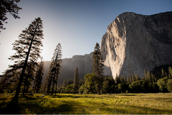 Better Flags | CiClO Flags | Sunlit granite cliff and tall pine trees casting shadows over a grassy meadow under a clear blue sky.