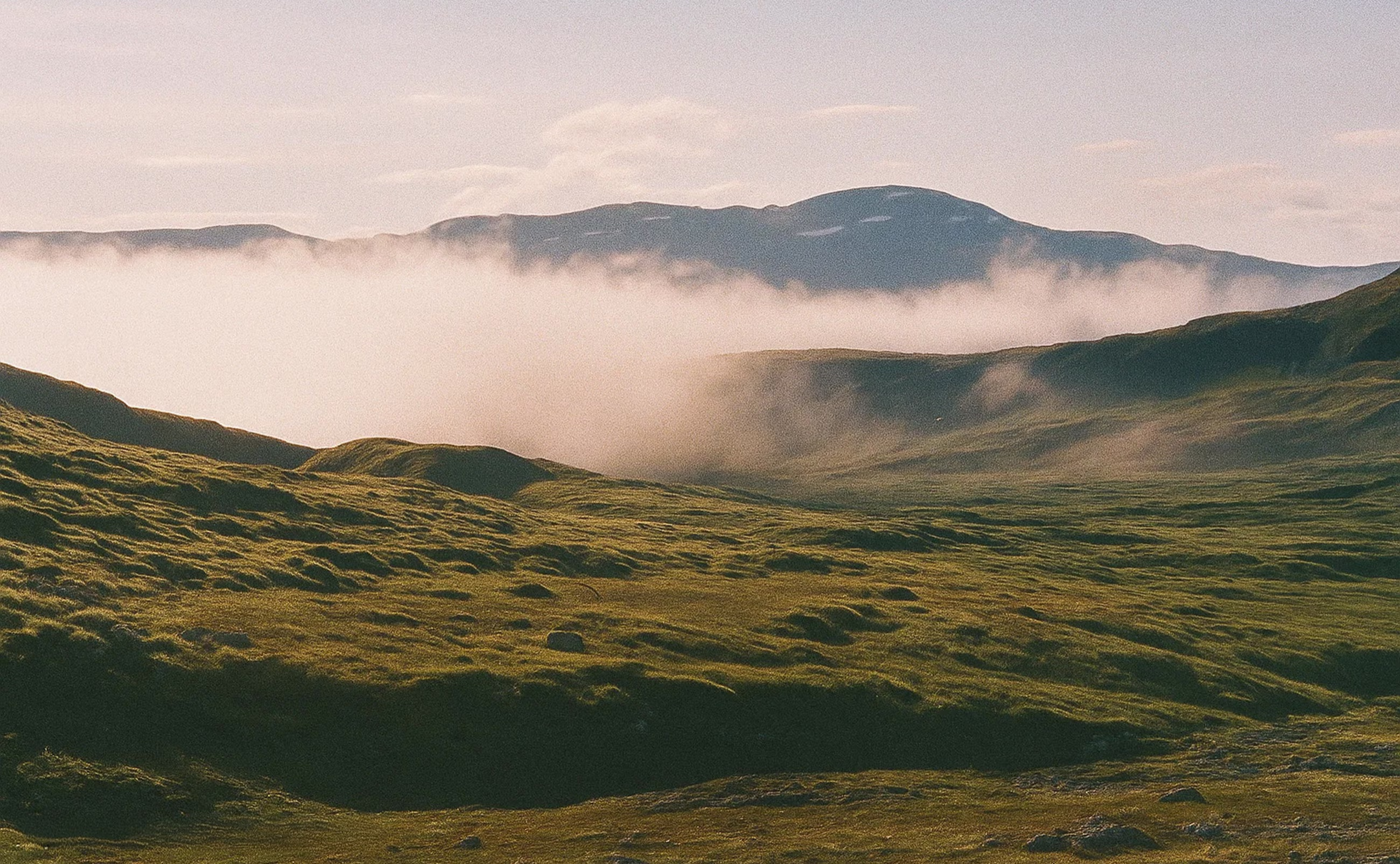 Grønne bakker med lavtliggende tåkeskær og bjerge bagved under en lys himmel.