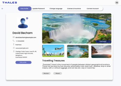 image of various pet food brands on shelves