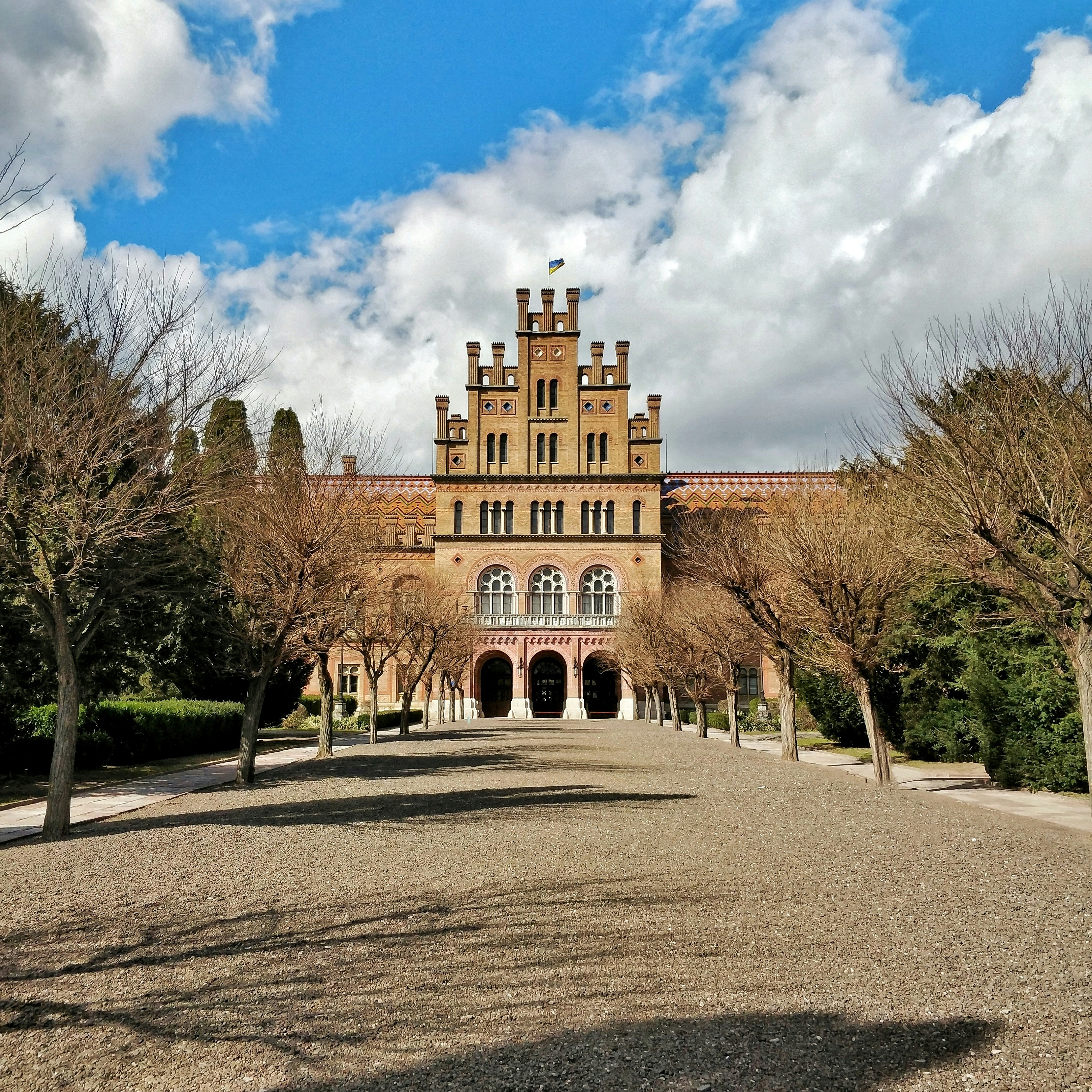 Historic Gothic Revival building with a Ukrainian flag on top, framed by rows of leafless trees under a partly cloudy sky.
