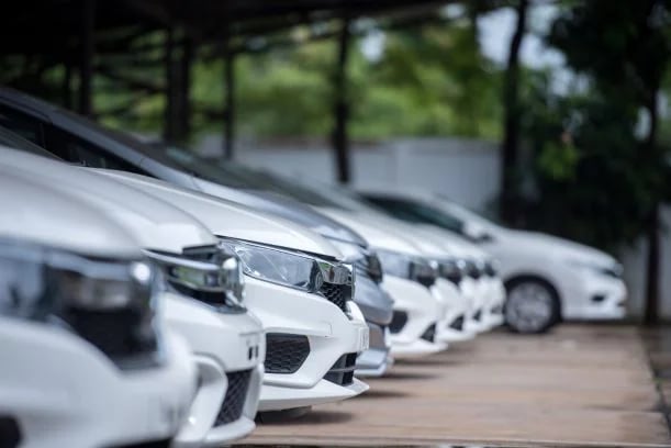 Row of white cars parked outdoors under a canopy with trees in the background.