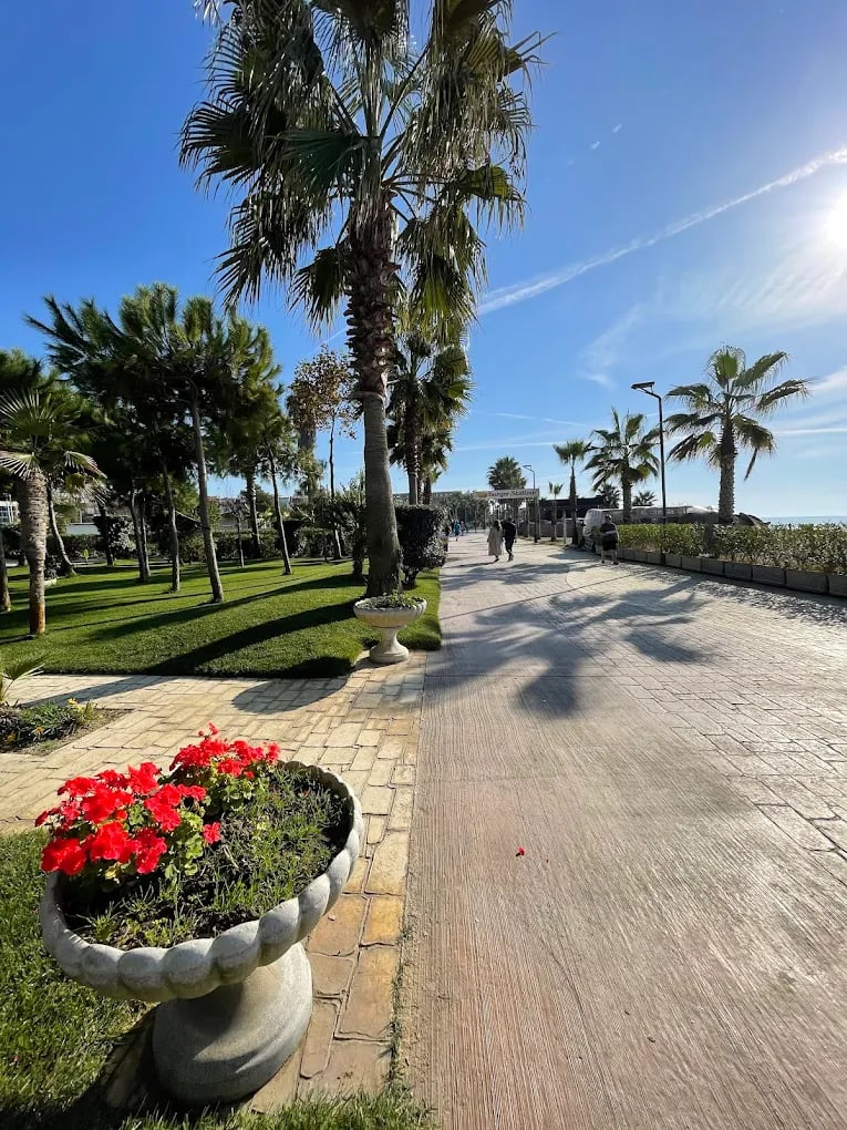 Sunlit walkway lined with palm trees, green grass, and planters with red flowers under a clear blue sky.
