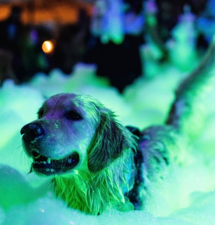 Foam-Nado foam party safe and hypoallergenic