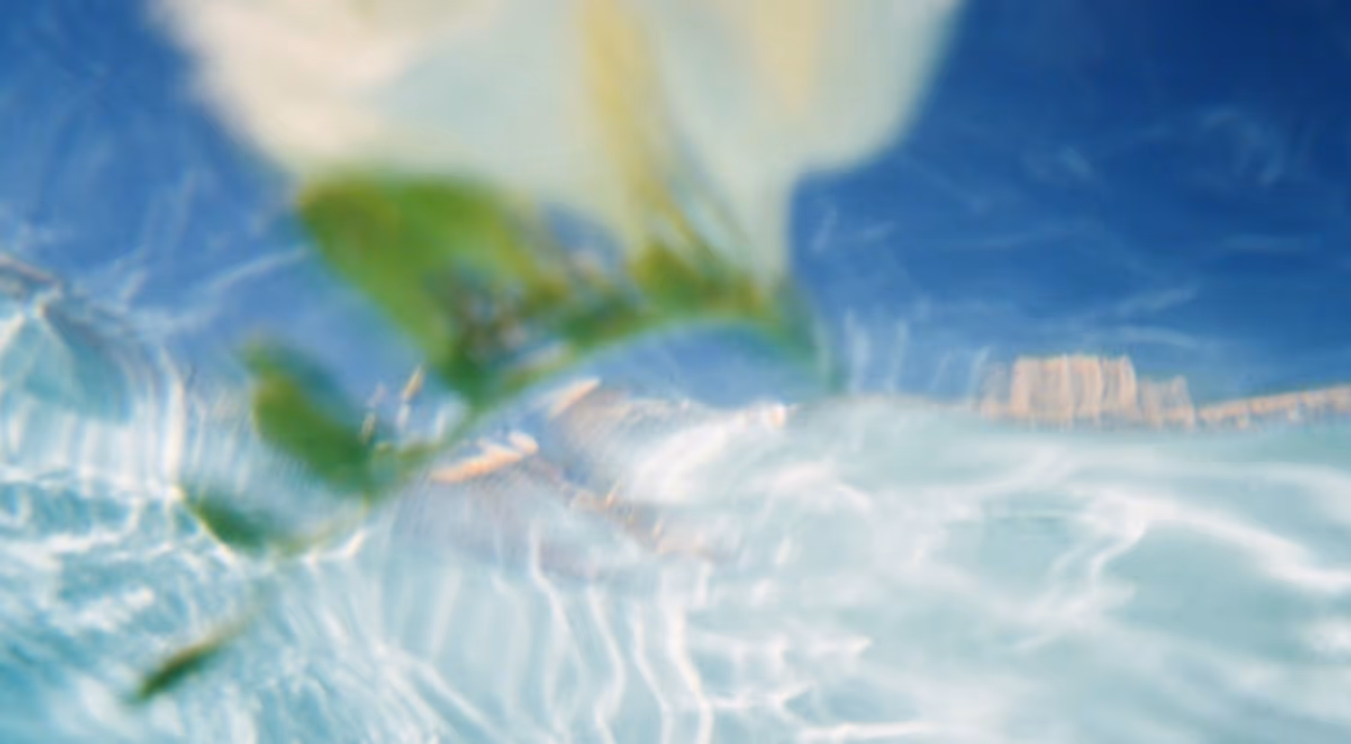 Soft-focus image of a white flower with green leaves underwater against a blue background.