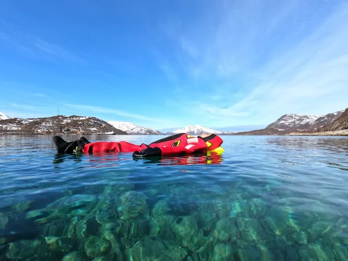 Arctic Morning Floating