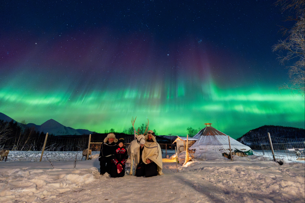 Balsfjord : Nighttime Reindeer feeding and Sami culture and a chance of Northern Lights