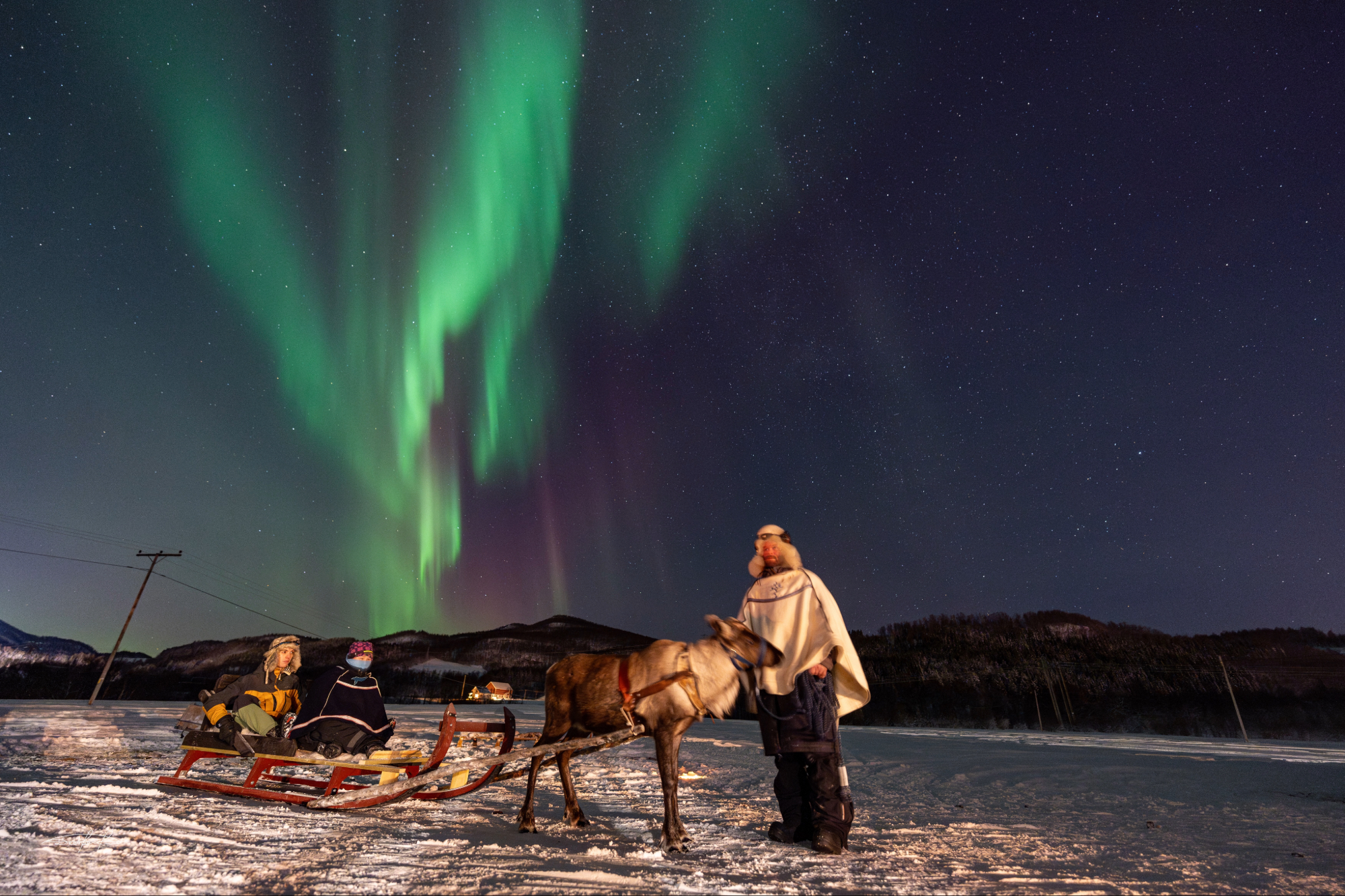 Night-time Reindeer Sledding and Sami culture