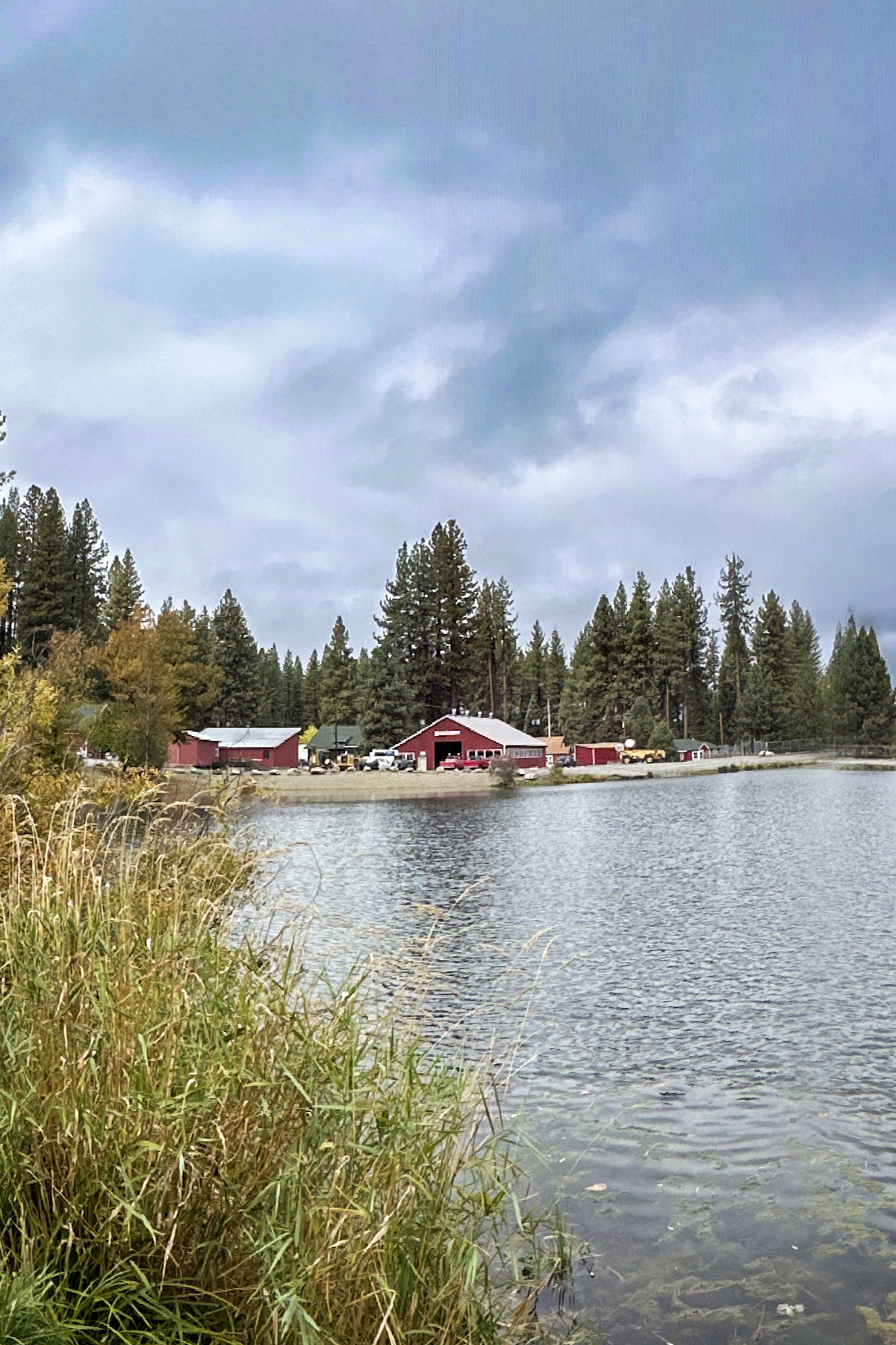 image of a school campus [background image]