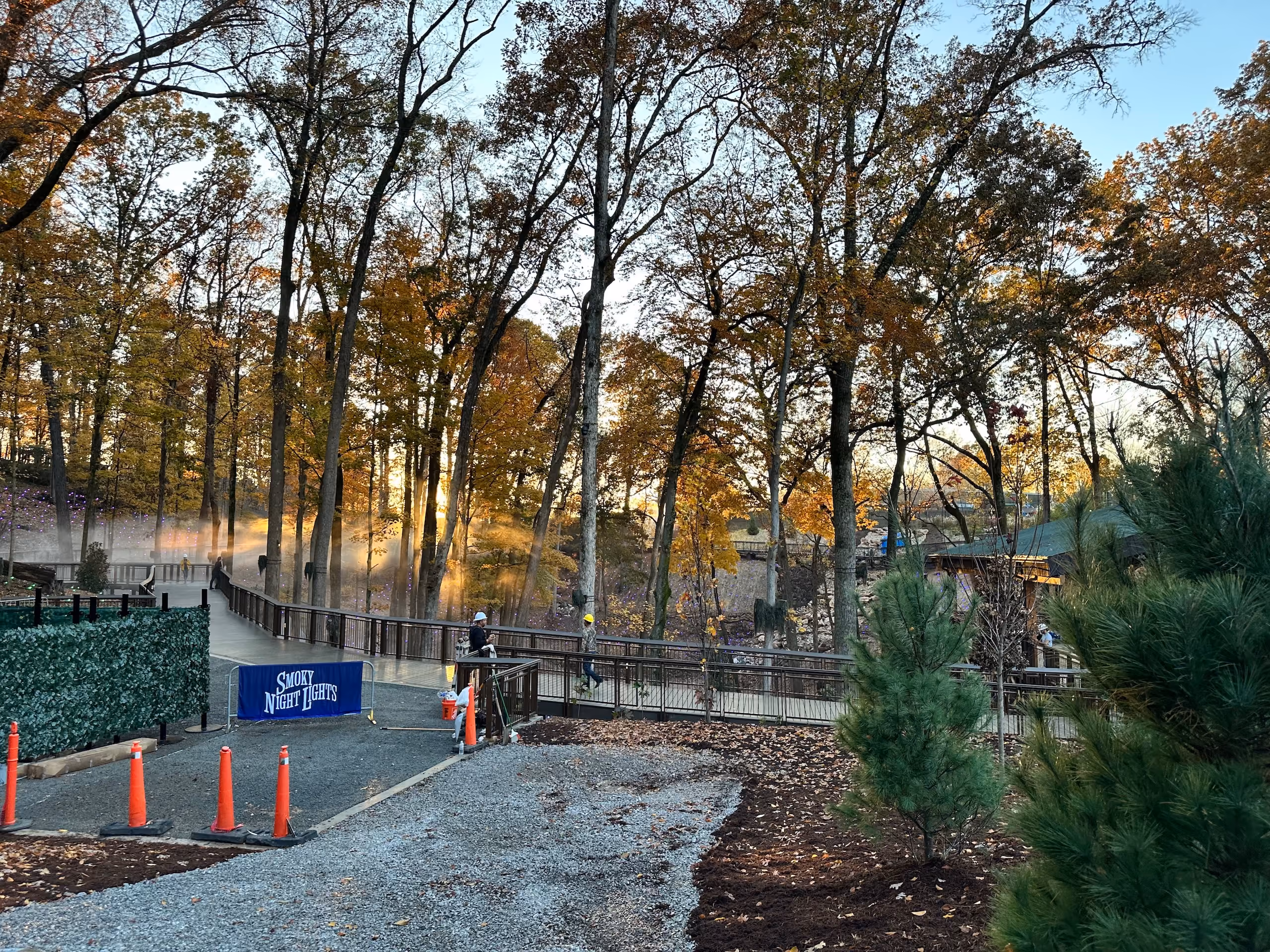 Autumnal trees with golden light filtering through, illuminating a park pathway