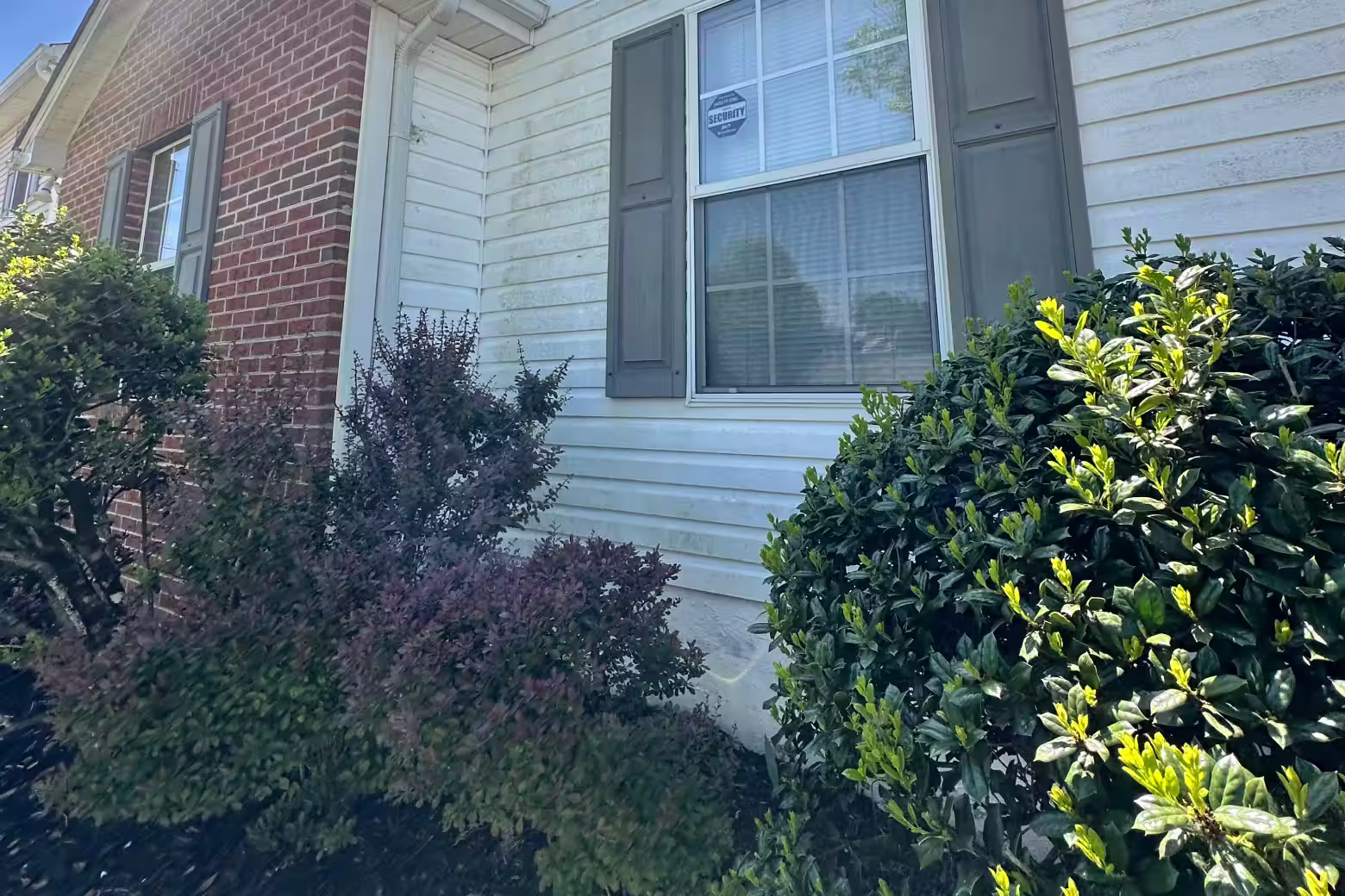 A residential house wiht vinyls sliding with green and purple leafed shrubs in front