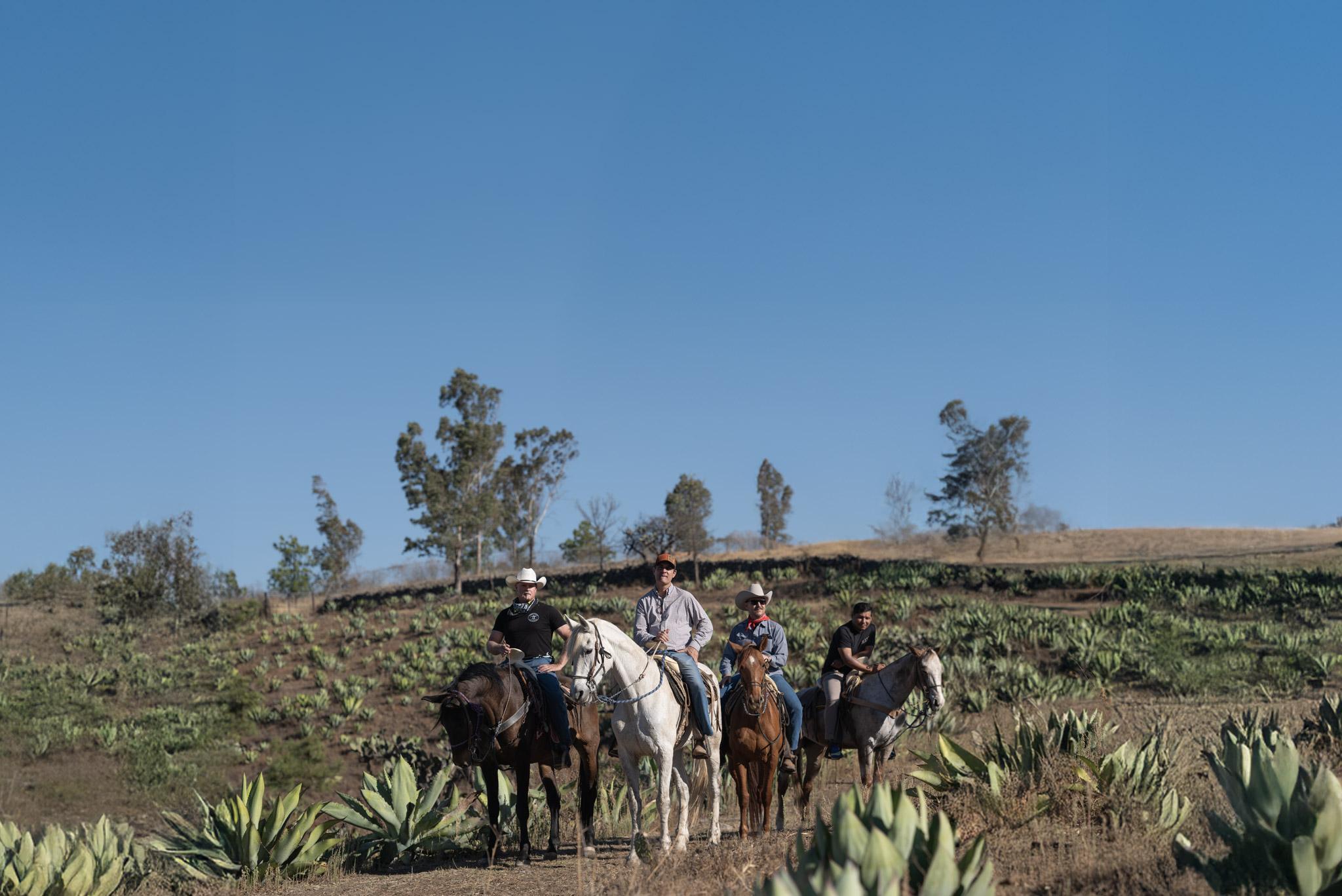 Producer Owned Additive Free Agave Spirits