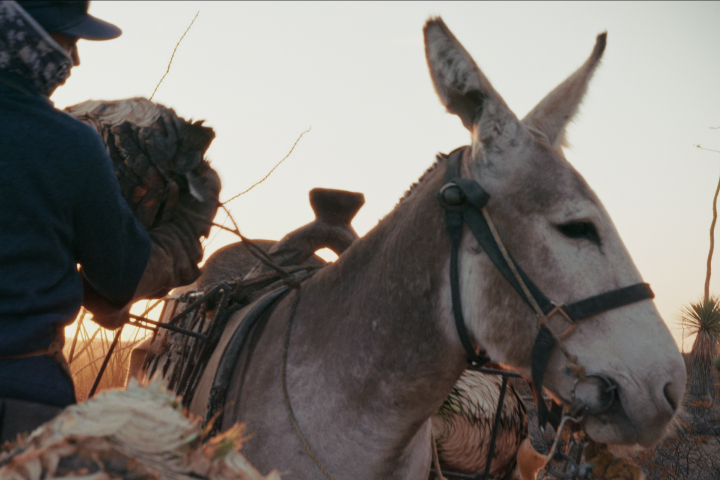 Behind the scenes of The Chant of Silence