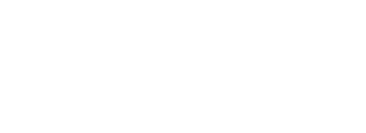 Orginal Logo