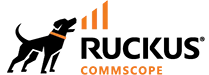 Ruckus brand logo with black and orange text.