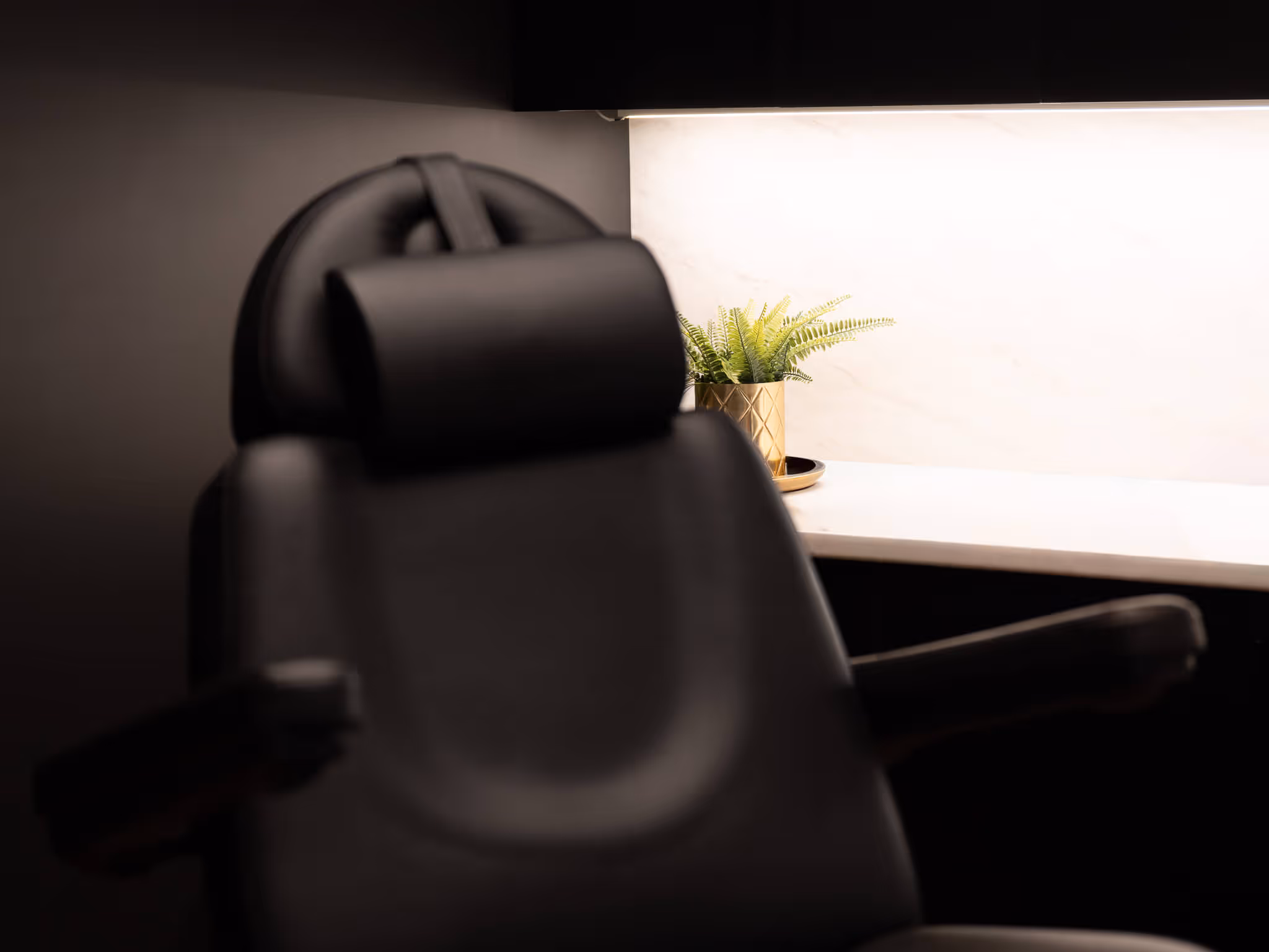 Black leather office chair in front of a white desk with a gold pot holding a green plant.