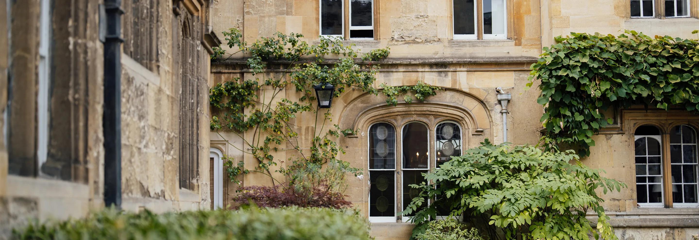 Old stone building wall with arched windows and green ivy and plants growing around it.
