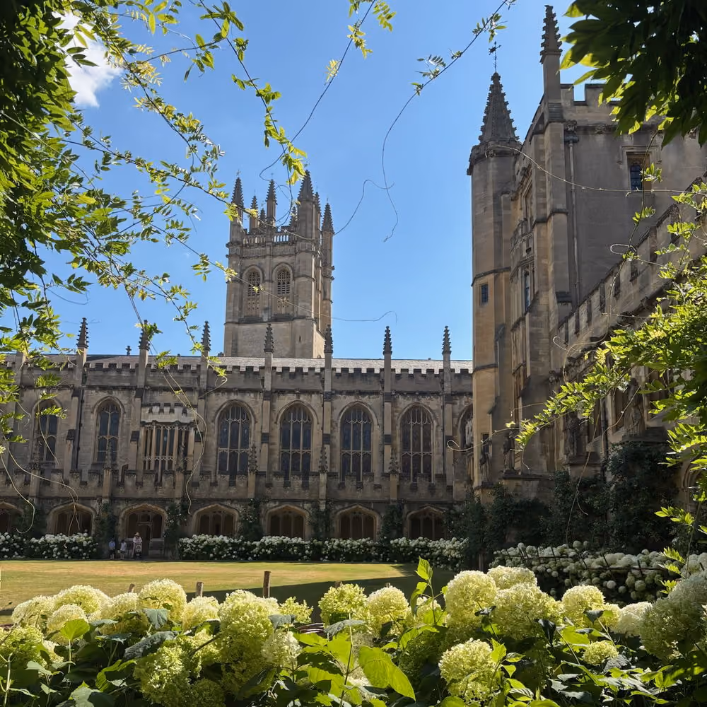 Gothic-style stone building with tall spires behind garden with green and white hydrangeas under blue sky.