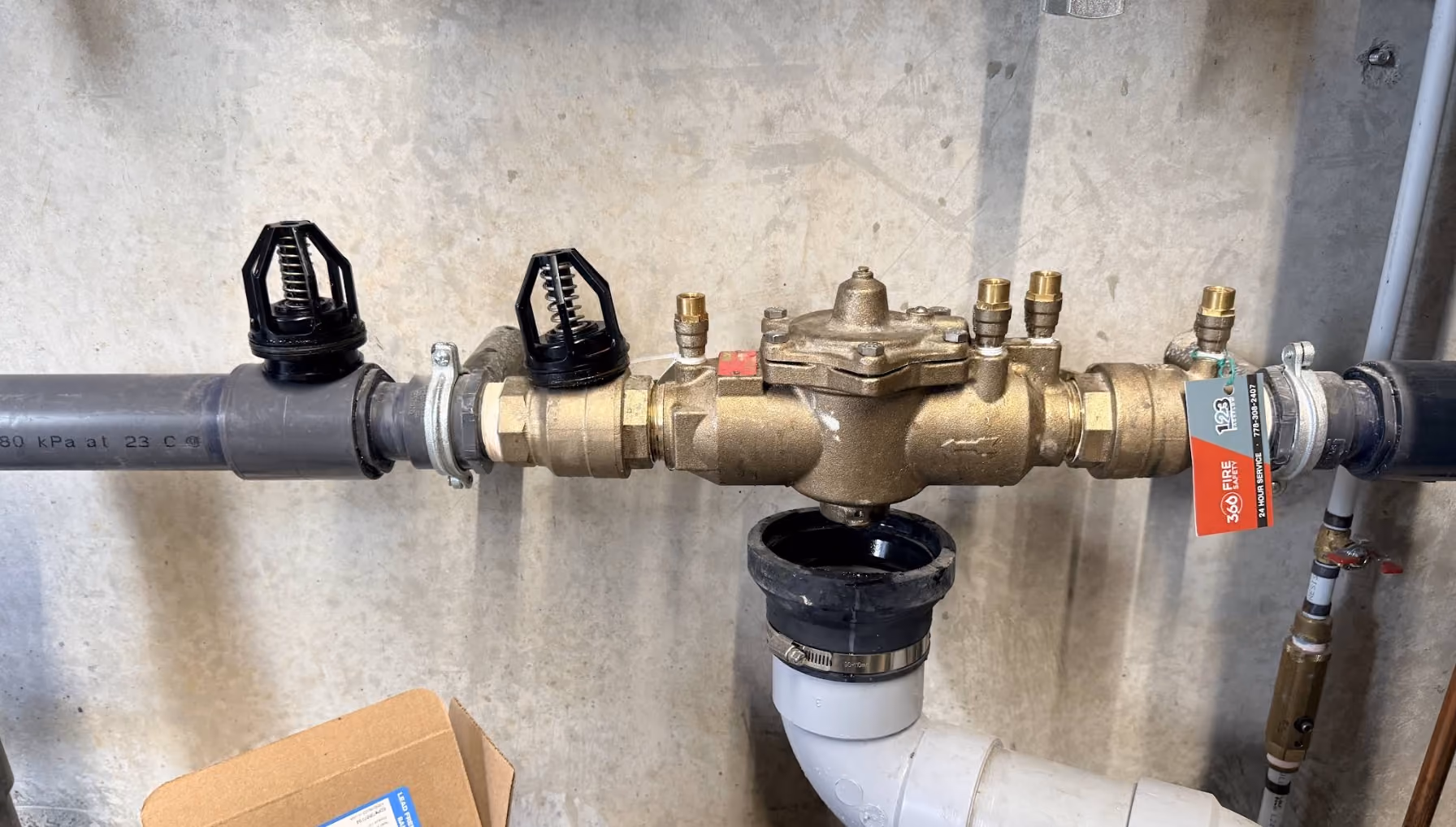 Close-up of a brass backflow preventer valve attached to grey water pipes on a concrete wall.