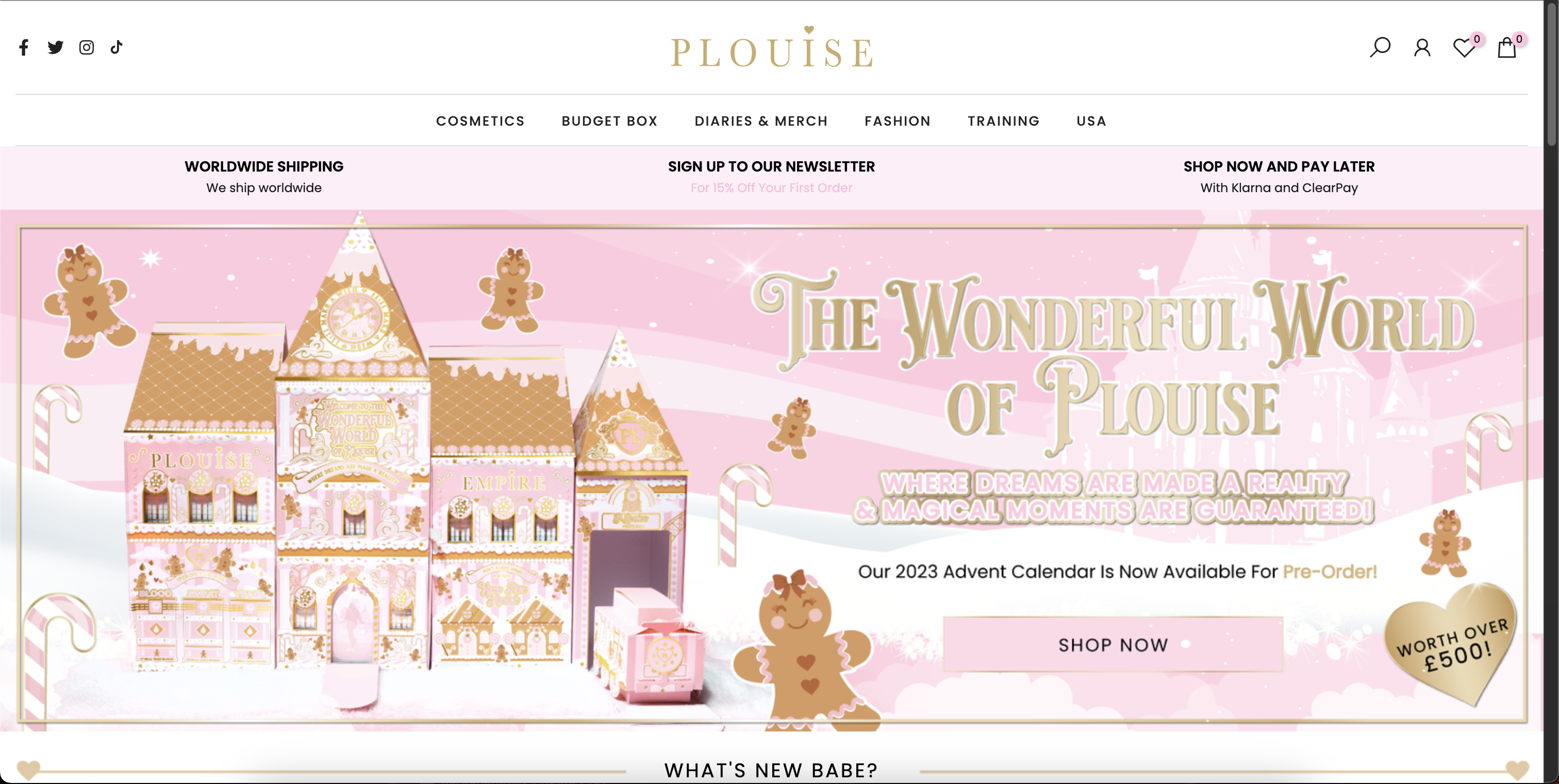 P.Louise store before