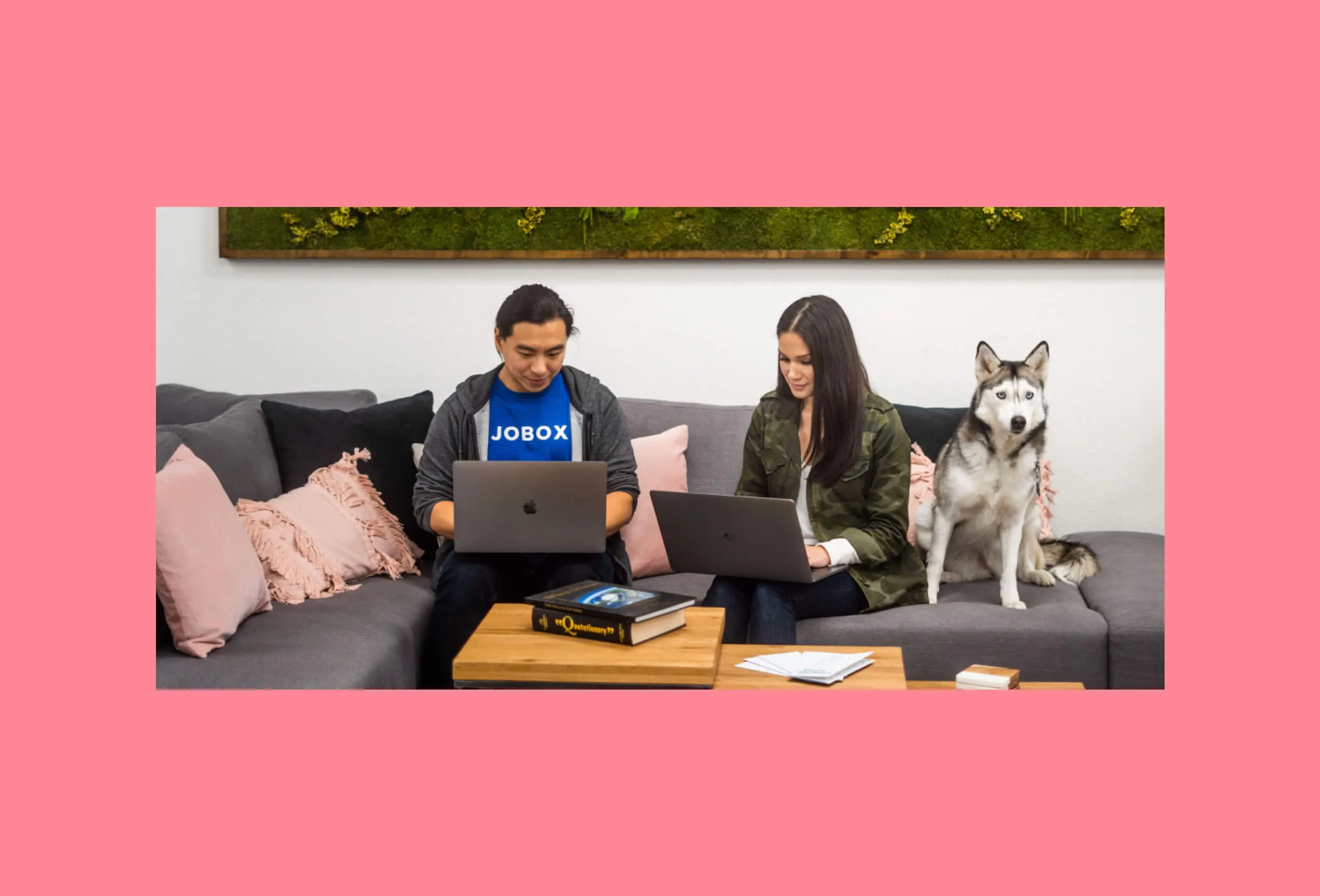 Man and woman sitting on a gray couch working on laptops with a Siberian Husky sitting beside them.