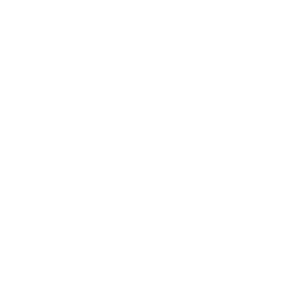 Weißes Icon eines Autos mit Schutz.