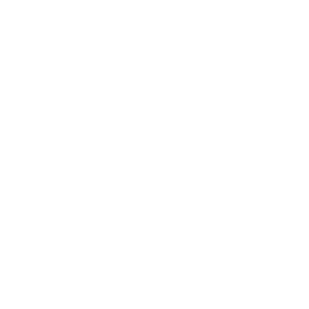 Icon einer Poliermaschine