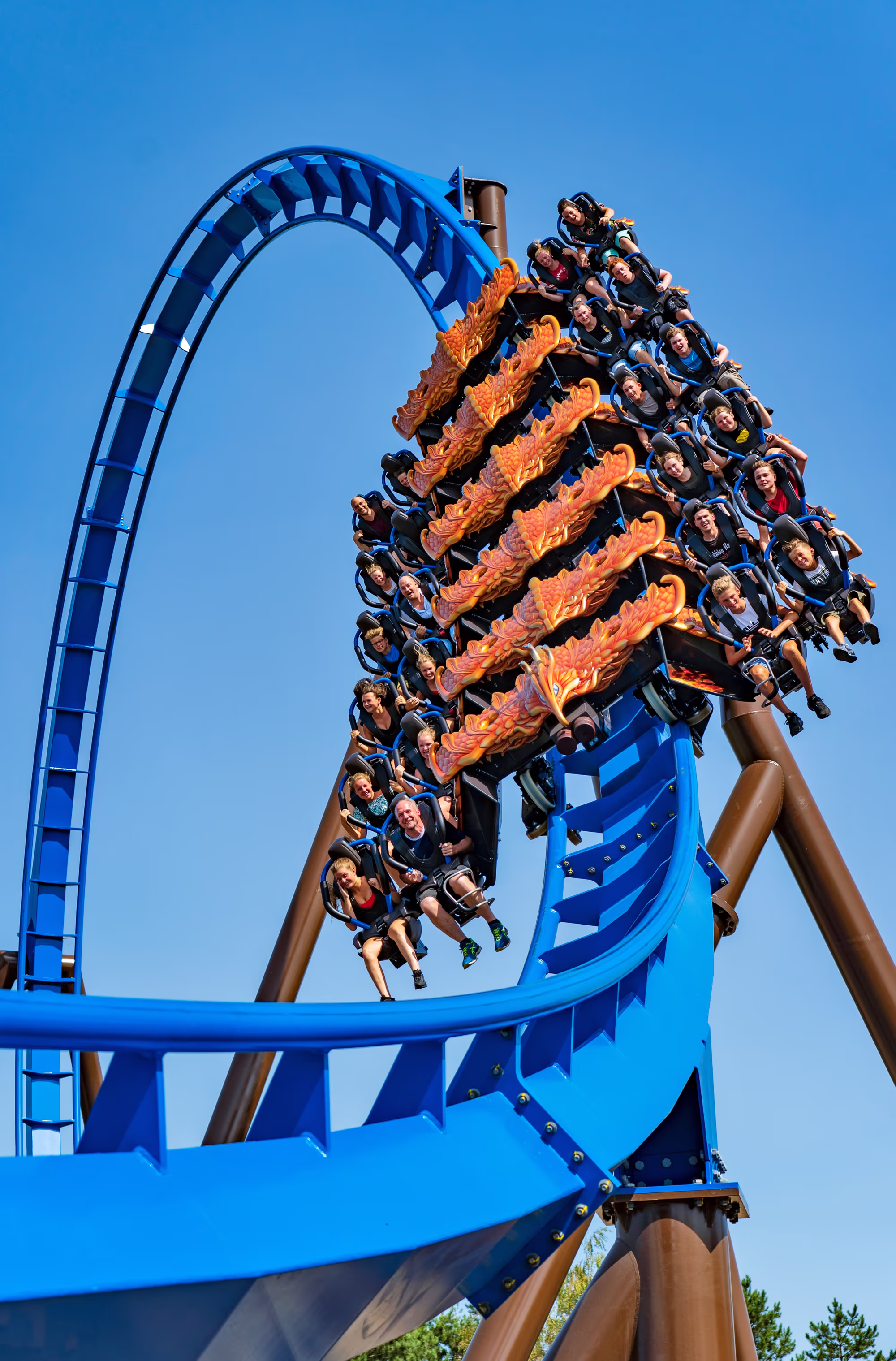 Picture of a wing coaster