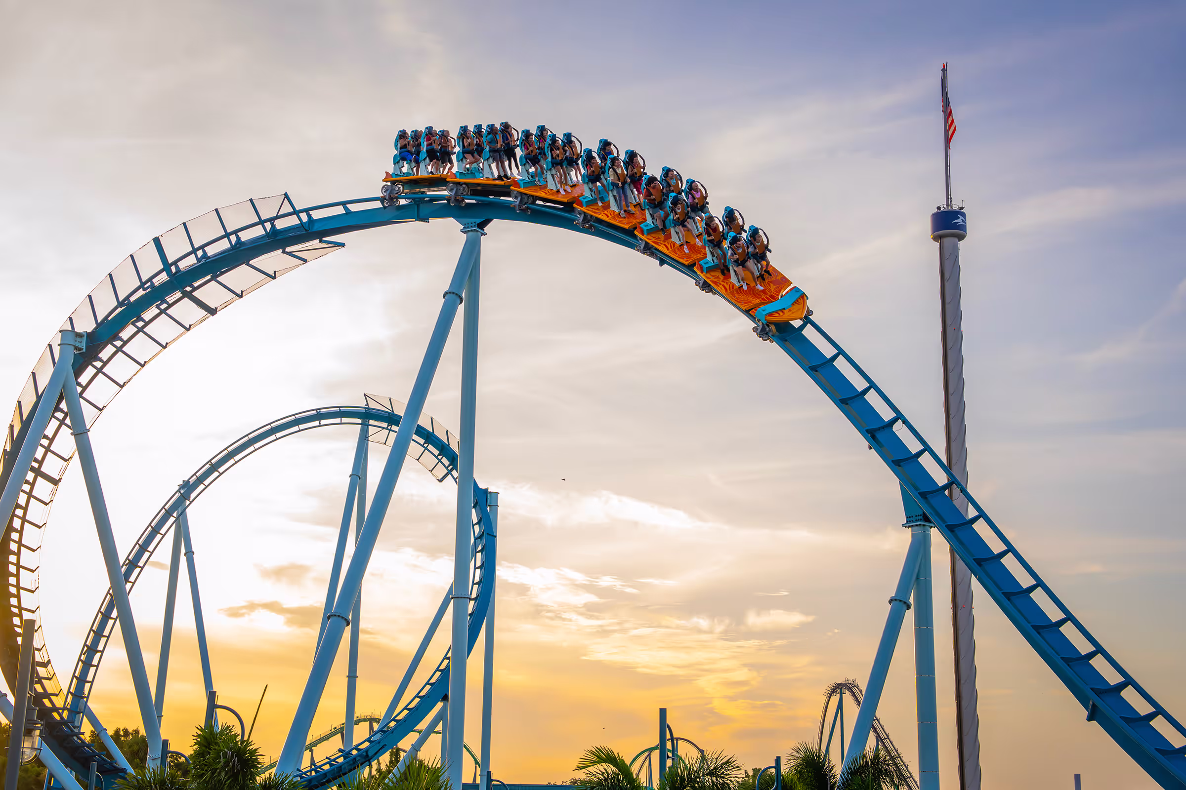 Picture of a Surf Coaster