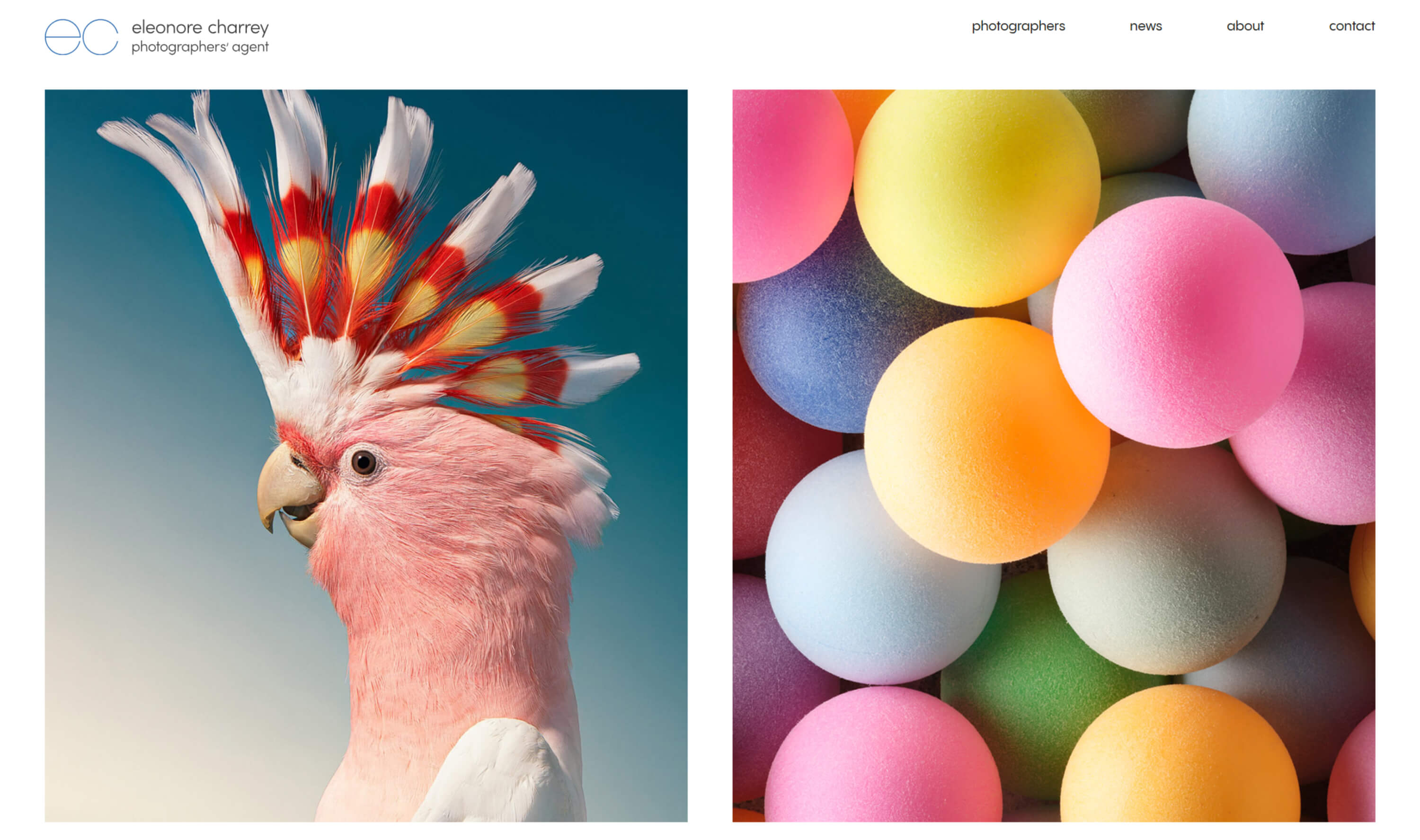 Eleonore Charrey website by isaWabi