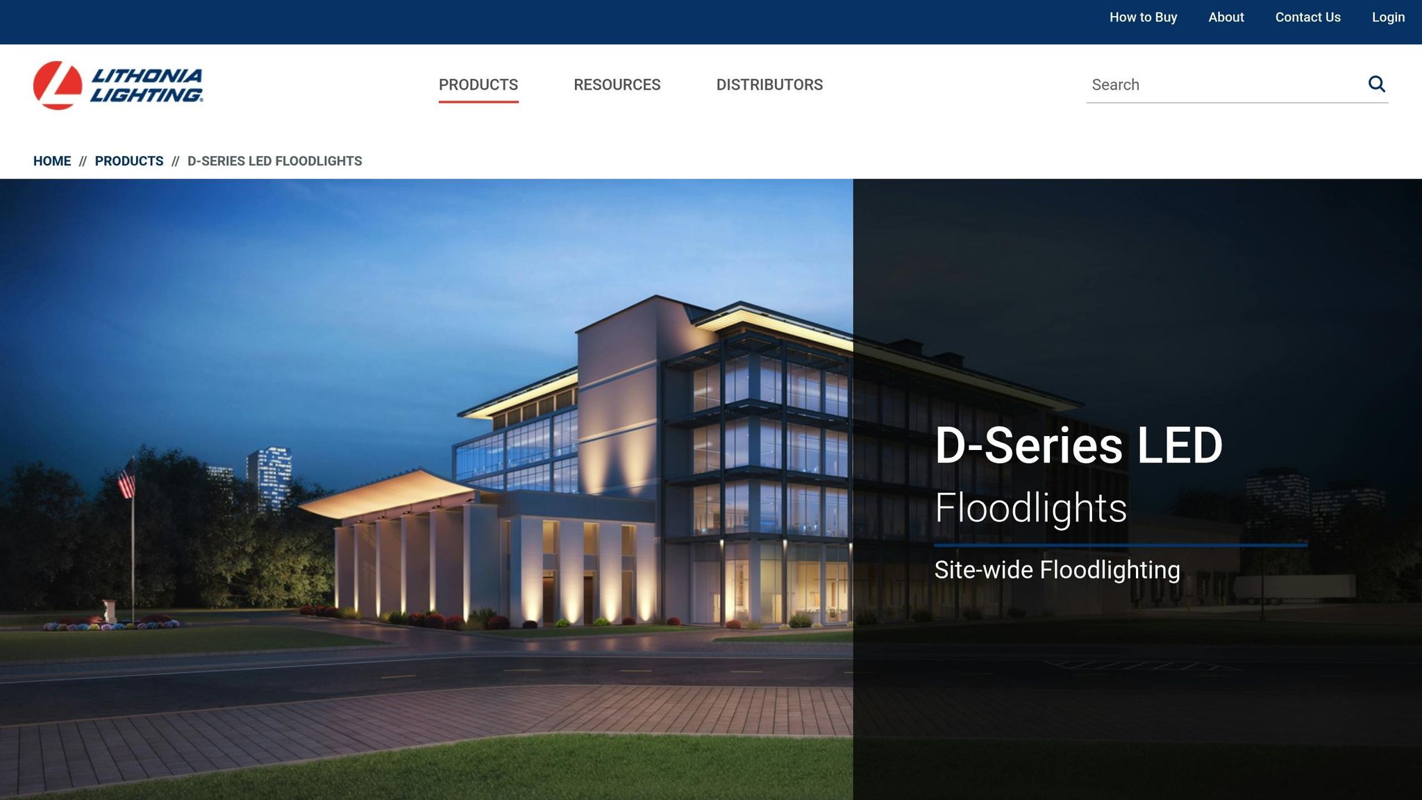 Lithonia D-Series LED Floodlight