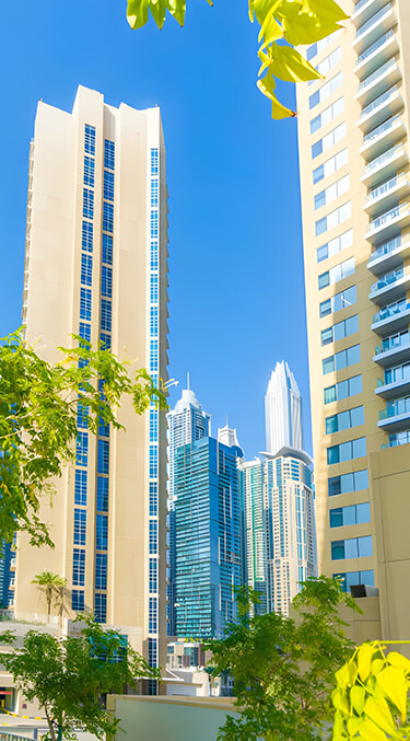 Properties We Cover in Dubai