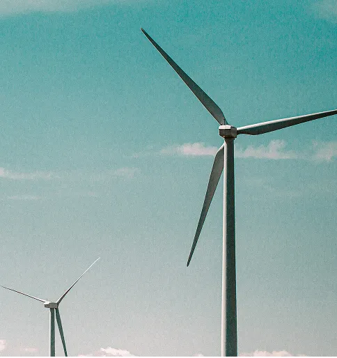 Procurement & Sourcing