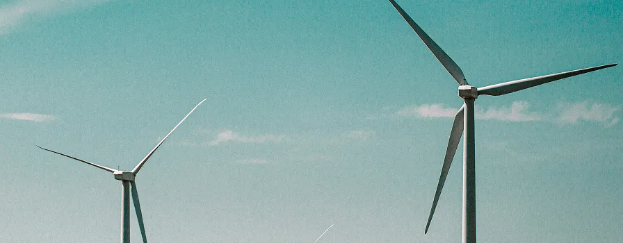 Procurement & Sourcing