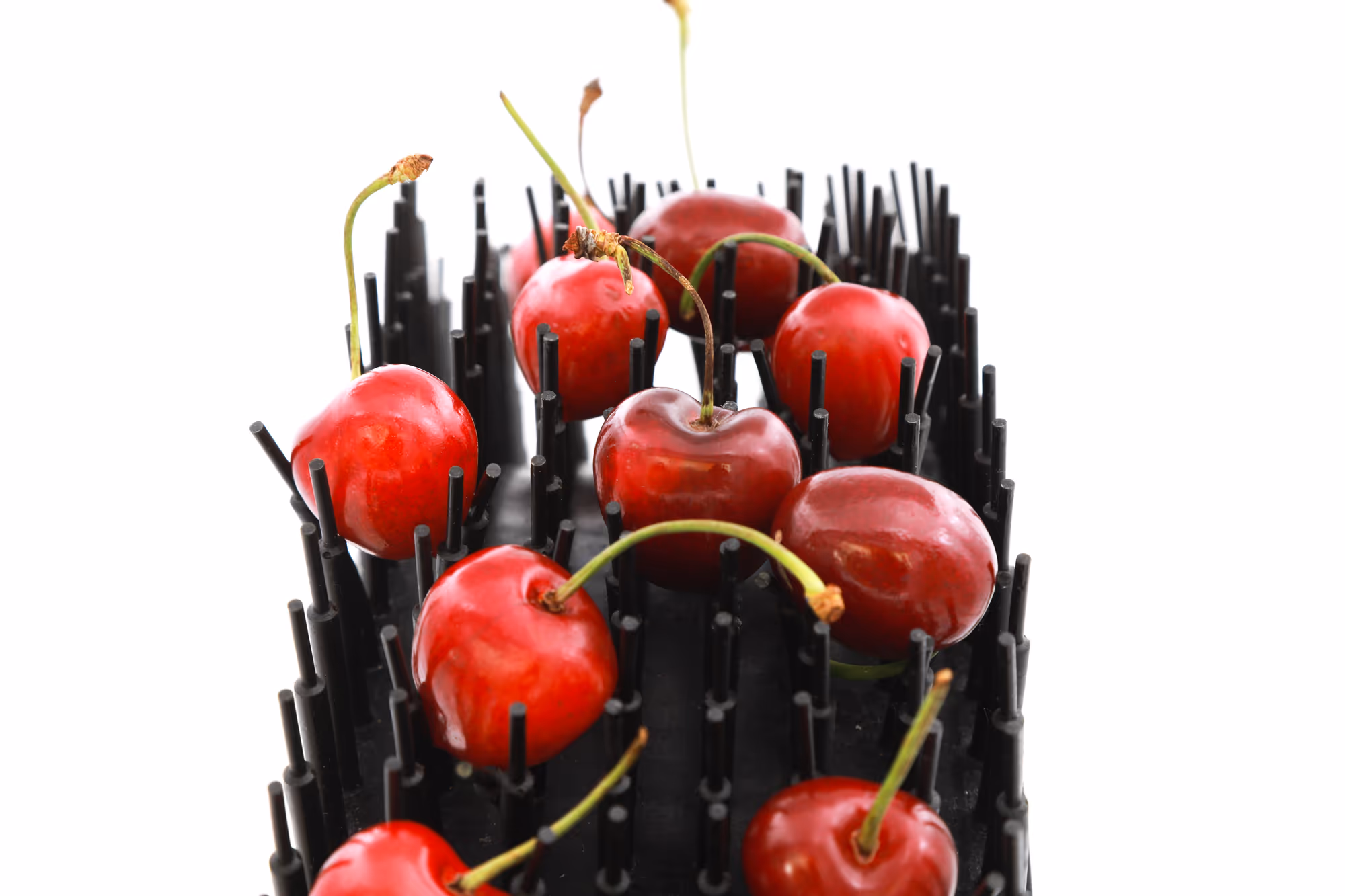 Förderband mit Internorm Igelband für Kirschen Intec D