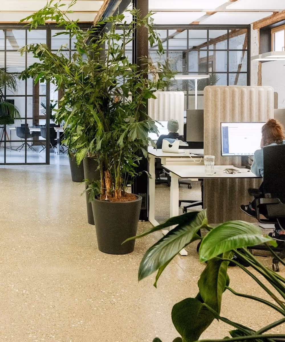 Modernes Büro mit mehreren Arbeitsplätzen, großen Fenstern, und vielen grünen Pflanzen in Töpfen.