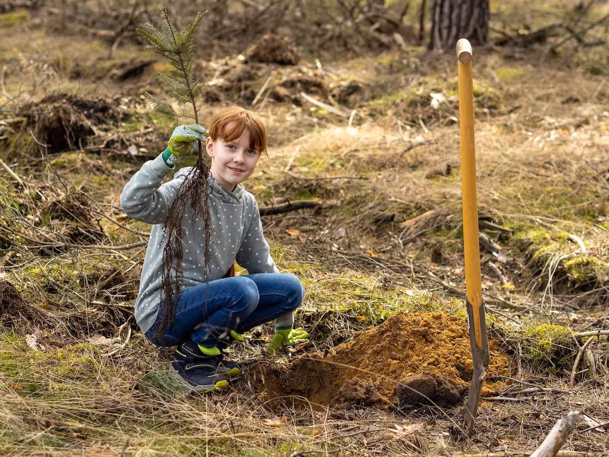 Child is planting a tree