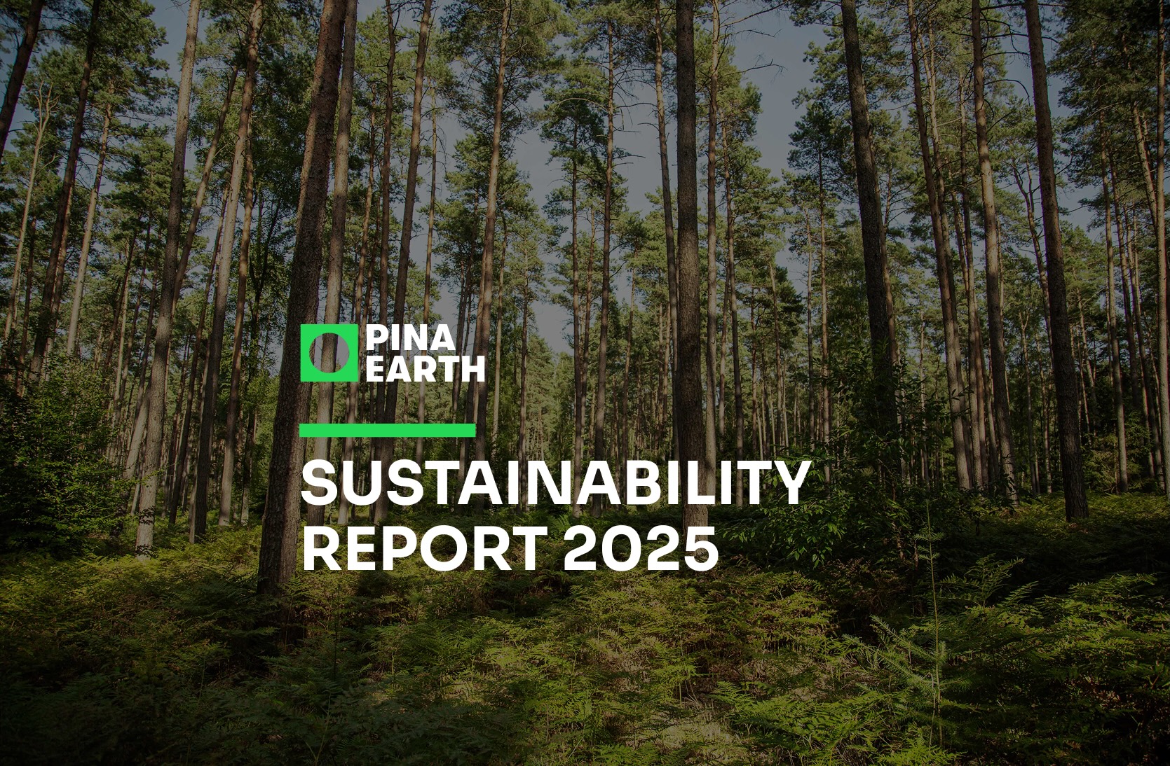 Thumbnail Image for the Sustainability Report of 2025 for Pina Earth