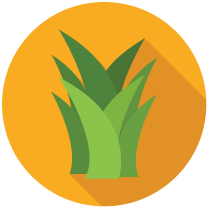 logo des production fourragère