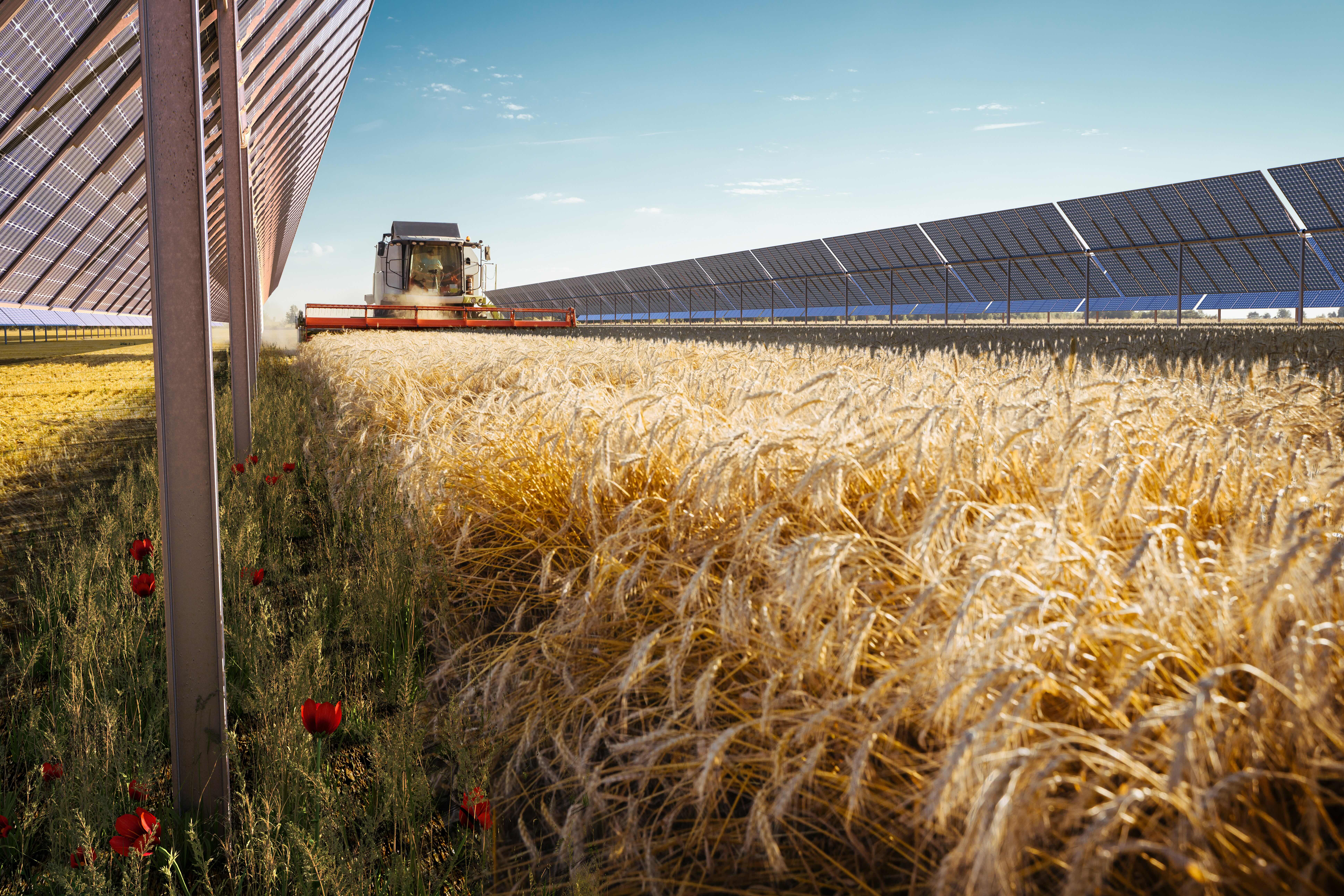 vue de côté panneaux photovoltaïque fixe